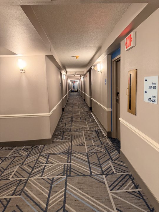 Hotel corridor with patterned carpet and wall trim