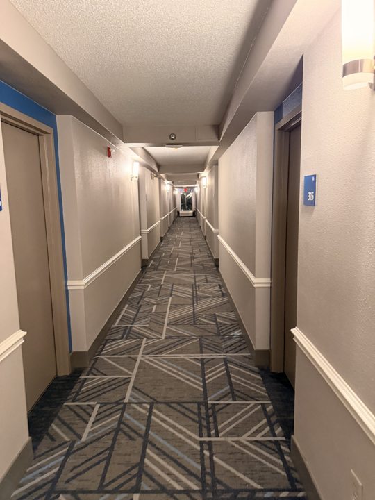 Hotel hallway showing wall finishes, doors and carpeting